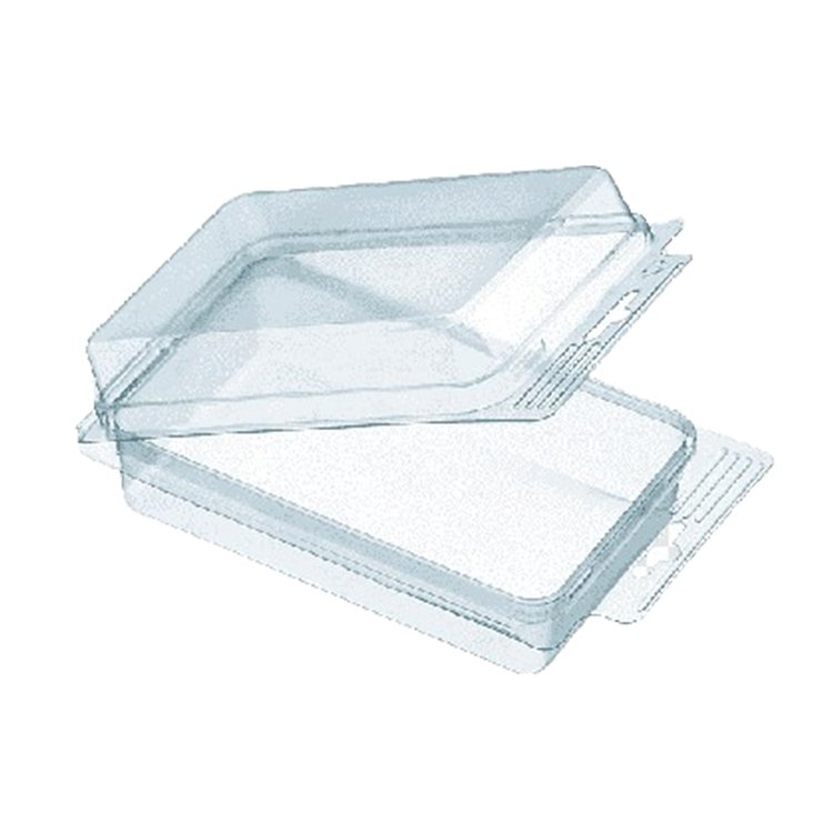 Blister Tray